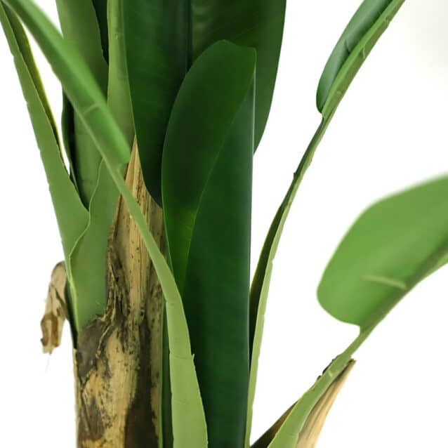 Banana Tree 280cm - inlux