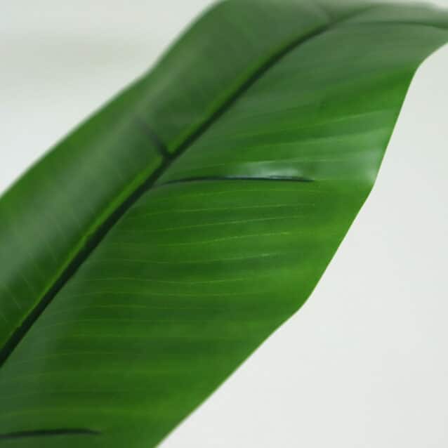 Banana Tree 280cm - inlux