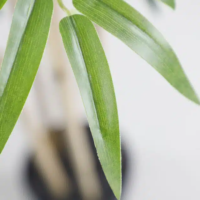 Bamboo 210cm - inlux