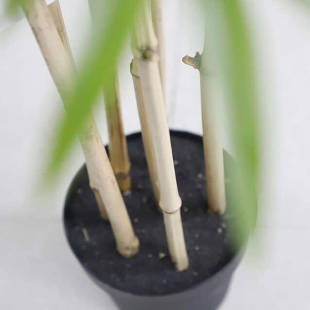 Bamboo 210cm - inlux