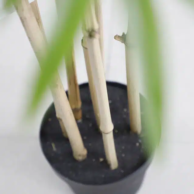 Bamboo 210cm - inlux