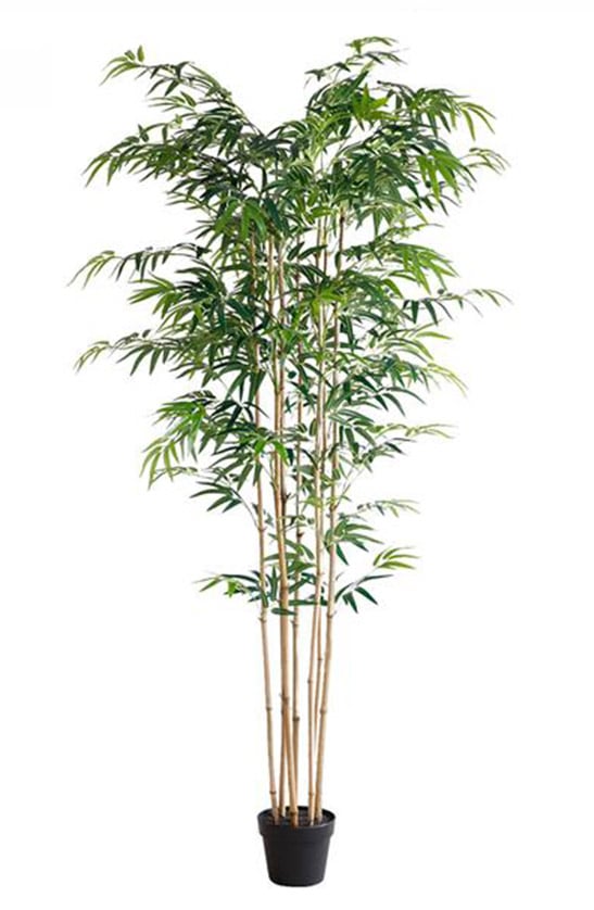 Bamboo 210cm - inlux