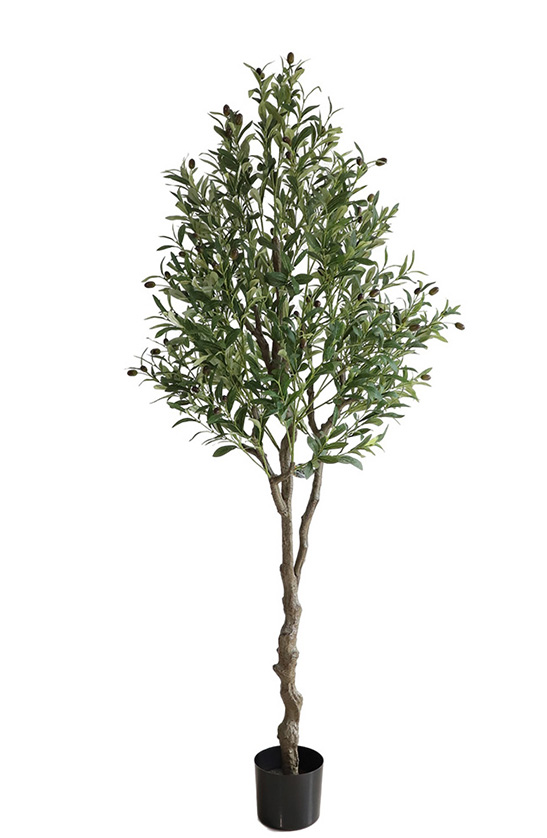 Olive Tree 122cm - inlux