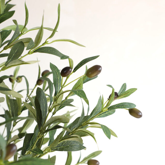 Olive Tree 122cm - inlux