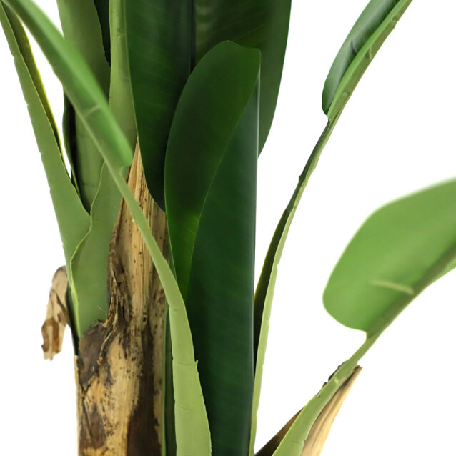 Banana Tree 120cm - inlux