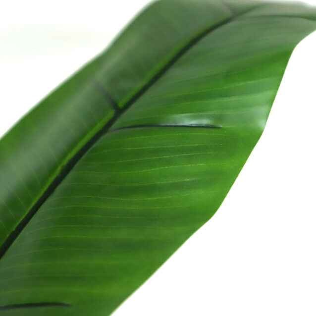 Banana Tree 120cm - inlux