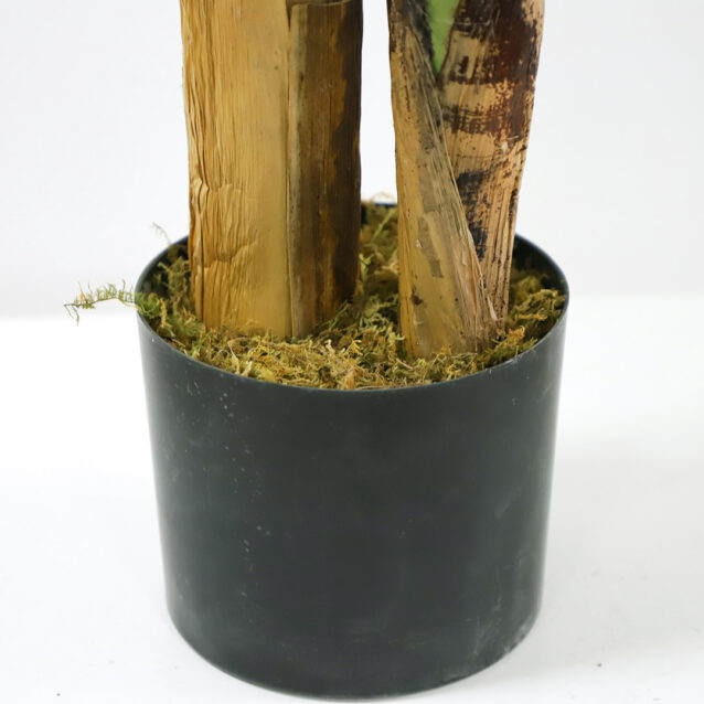 Banana Tree 120cm - inlux
