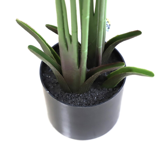 Banana Tree Ravenala 120cm - inlux