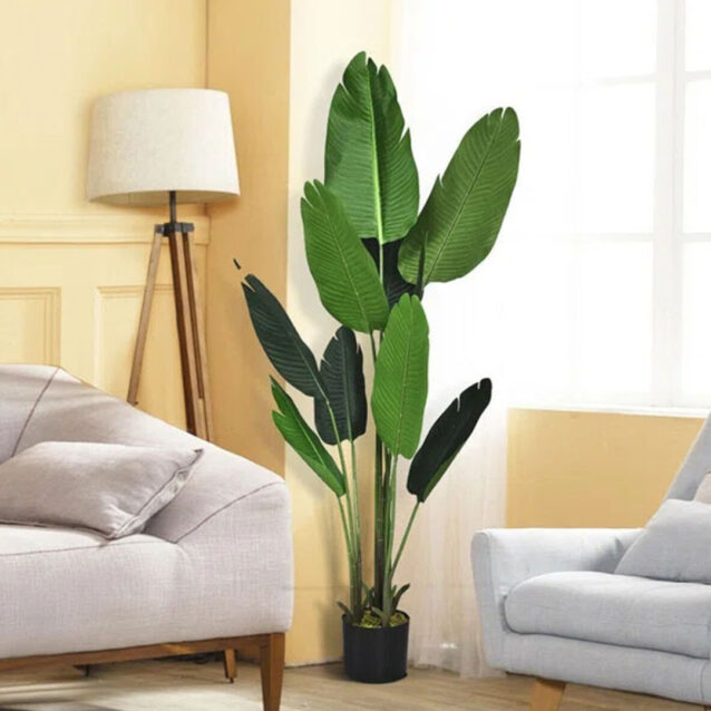 Banana Tree Ravenala 120cm - inlux