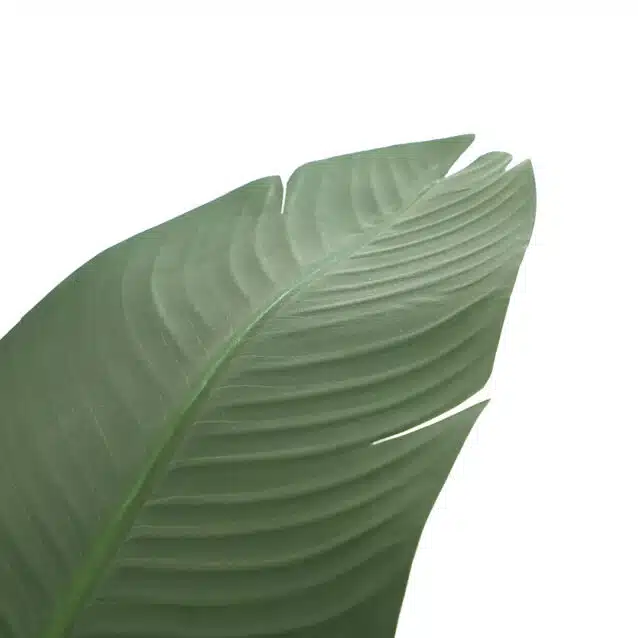 Banana Tree 160cm - inlux