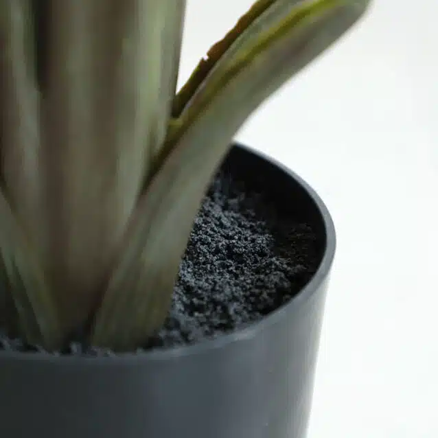 Banana Tree 160cm - inlux