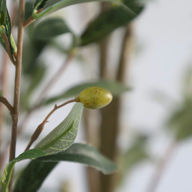 Olive Tree 175cm - inlux