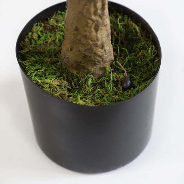 Olive Tree 175cm - inlux