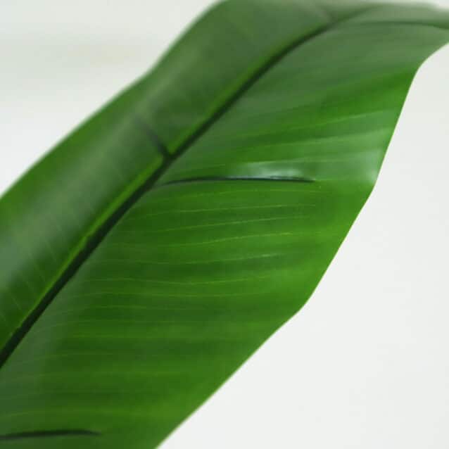 Banana Tree 145cm - inlux