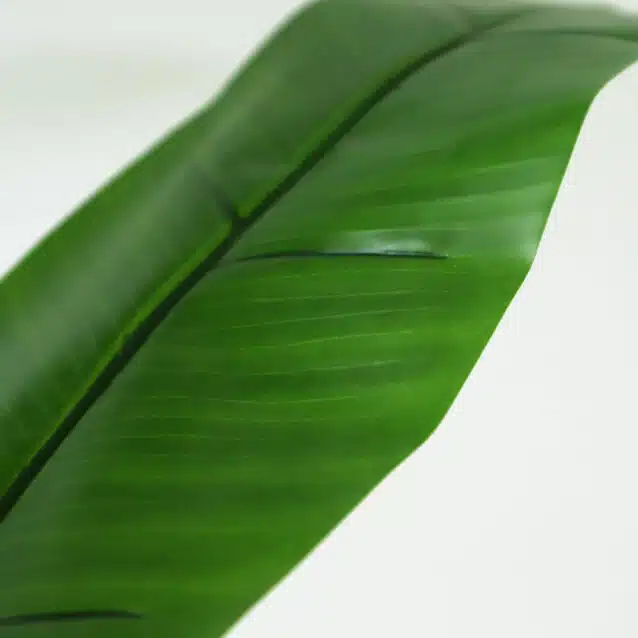 Banana Tree 145cm - inlux