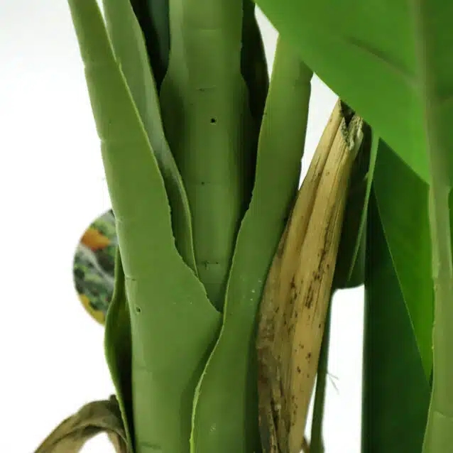 Banana Tree 145cm - inlux