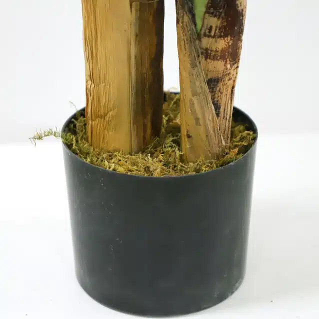 Banana Tree 145cm - inlux