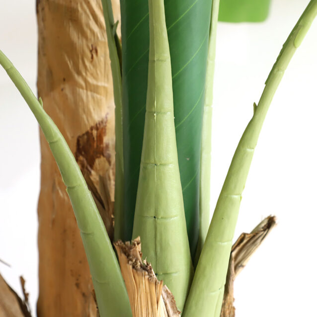 Banana Tree 220cm - inlux