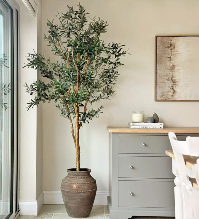 Olive Tree 180cm - inlux