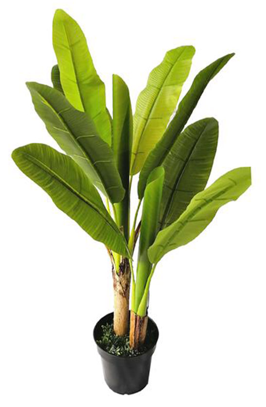 Banana Tree 120cm - inlux
