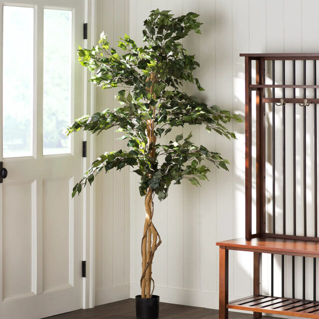 Ficus Tree 180cm - inlux