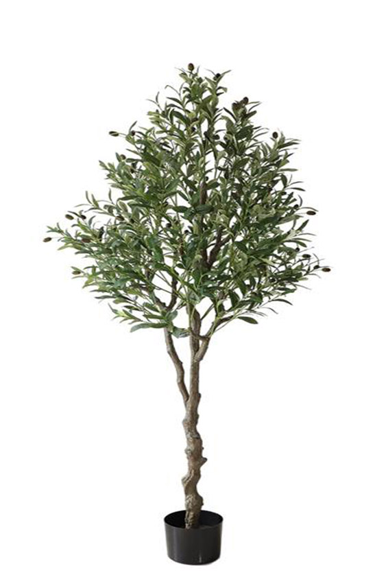 Olive Tree 180cm - inlux